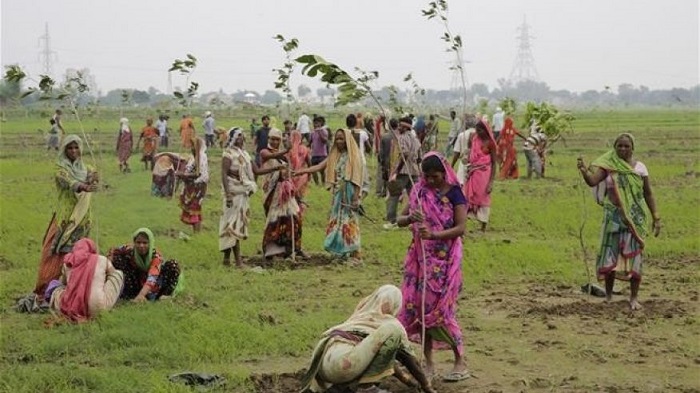 50 million trees were planted in just 24 hours